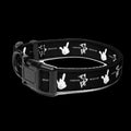 FSU Logo Collar — Black